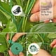 thumbnail image 4 of 6Pack Detachable Twig Plant Support Stakes Set,20Pcs Orchid Clip, 4 of 5
