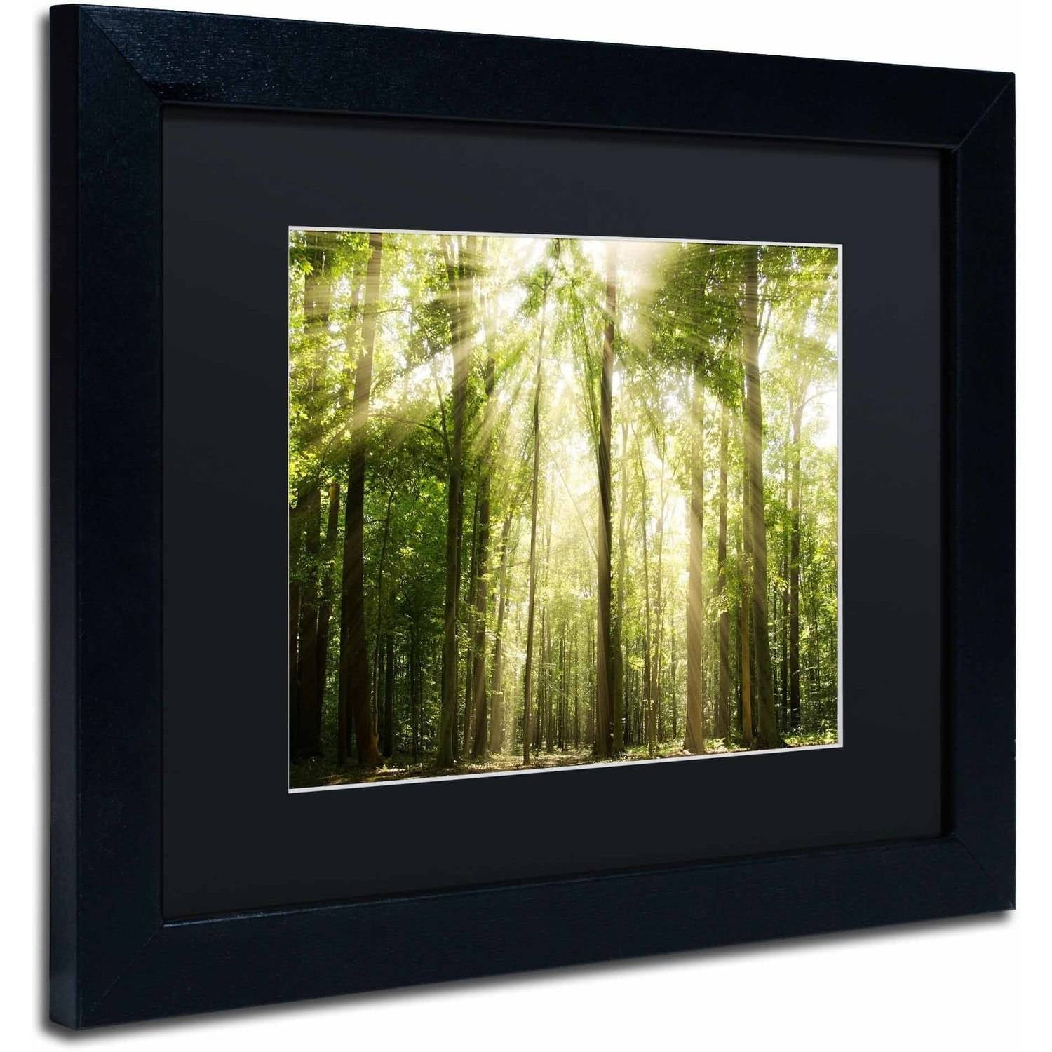 Trademark Fine Art 'Sunrays Through Treetops' Canvas Art by PIPA Fine Art, Black Matte, Black Frame