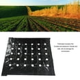 thumbnail image 3 of Thermal Insulation Perforated Mulch, Easy To Use High Tenacity Plants Mulch Insulation Film PE  for Greenhouse, 3 of 7