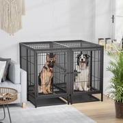 BingoPaw Heavy Duty Metal Dog Crate with Cover, Divider & Tray, 51.5L x 39.3W x 39.3H