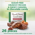 thumbnail image 4 of RUSSELL STOVER Sugar Free Pecan Delight Chocolate Candy, 15.5 oz. bag, 4 of 10