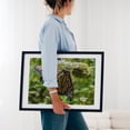 thumbnail image 4 of Monarch Butterfly on Daucus Carota - York Pennsylvania Photography Butterfly Insect Nature Wildlife Floral Garden Botanical Black Framed Wall Art Print 24 x 36 inches, 4 of 8