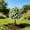 A style, variant on Realistic Outdoor Artificial Mums with Stakes for Porch, Faux Chrysanthemum Flowers for Yard Garden, Fake Fall Plants for Thanksgiving Decoration