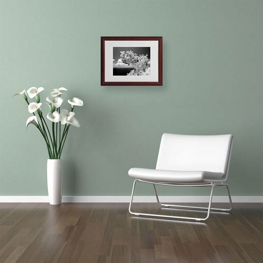 Matted art under acrylic in a wood frame