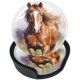 thumbnail image 1 of wonima44 6 Pcs Cute Brown Horse White Spotted Leather Coasters for Drinks with Holder Coaster Sets Drink Table Cup Coasters for Living Room Kitchen Coffee Decor, 1 of 1