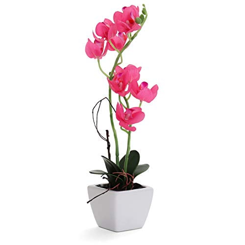 Bornbridge Artificial Orchid - Fake Orchid Plant with Real Touch Flowers - Faux Orchid with Long Stem Artificial Flowers - Potted Orchid/Plastic Orchid Fake Flowers - (Medium Hot Pink Orchid)