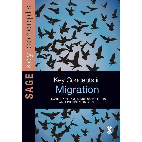 Key Concepts (Sage) Key Concepts in Migration, (Paperback)