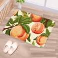 thumbnail image 5 of Peach Polyester Non-Slip Machine Washable Outdoor Carpet Door Mat - Door Rug - Door Rugs, 5 of 6