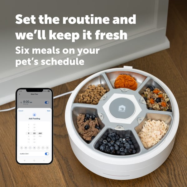PetSafe FreshFeed Refrigerated Pet Feeder – Automatic Wet Food Feeder for Cats & Small Dogs – App Control – 6 Fresh Meals – Stainless Steel Inserts – White