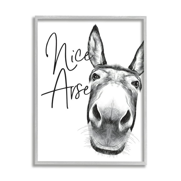 Stupell Industries Animal Humor Nice Arse Donkey Bathroom Phrase Graphic Art Gray Framed Art Print Wall Art, 24x30, by Lettered and Lined
