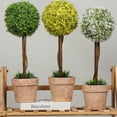 thumbnail image 4 of Planta en Maceta Bearachild Decoración Realista FY118-Bebé Lágrima Verde, 4 of 6