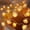 White, variant on Rose String Lights 3M 20LED Battery Operated Warm White Fairy Lights for Wedding Party Home Decor