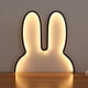 thumbnail image 1 of Luces Decorativas para Habitaciones de Adolescentes, Regalos de Pascua, Luces de Neón con Ambiente Cálido de Pascua, Luces Led de Conejito, Lámparas de Pared con Enchufe Usb para Mesita de Noche., 1 of 7