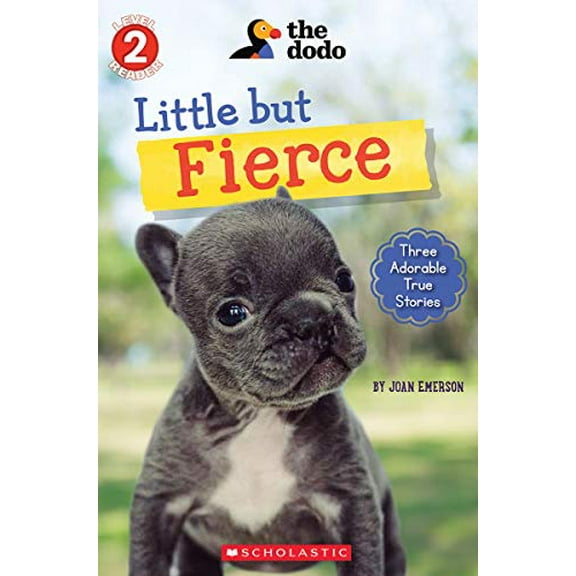 Pre-Owned Little But Fierce (the Dodo: Scholastic Reader, Level 2), 1 (Paperback) 1338576194 9781338576191
