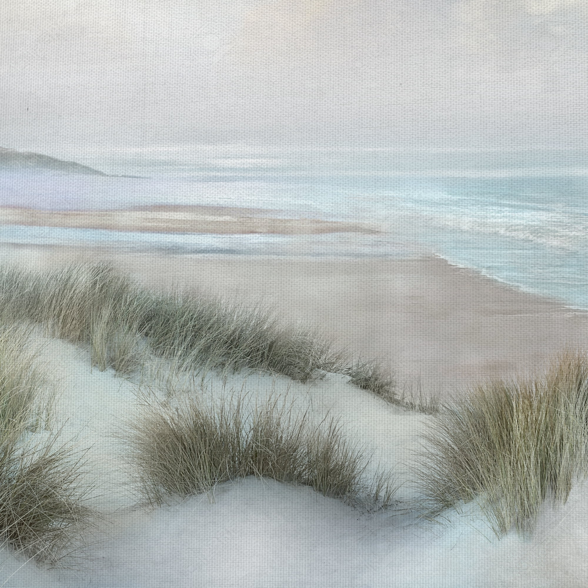 Fine Art Canvas Windswept III Coast by Mike Calascibetta Canvas Art Print