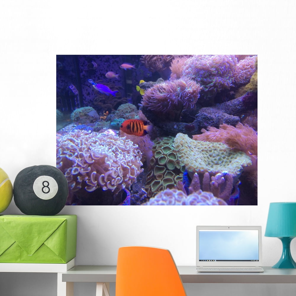 Mini Sea Fish Tank Wall Mural by Wallmonkeys Peel and Stick Graphic (36
