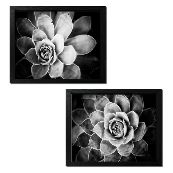 Gorgeous Classic Black and White Succulents; Two 14x11in Black Framed Prints; Ready to hang!