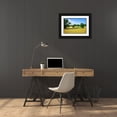 thumbnail image 3 of Hausenflock, Alan 18x13 Black Ornate Wood Framed with Double Matting Museum Art Print Titled - Farming Fields, 3 of 4