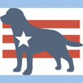 thumbnail image 3 of CafePress - Patriotic Labrador Retriever Ash Grey T Shirt - Light T-Shirt - CP, 3 of 4