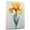 Iris 4, variant on Iris Flower Canvas Wall Art 8x12 inches - Soft French Country Iris Flower Watercolor Canvas for Elegant Home