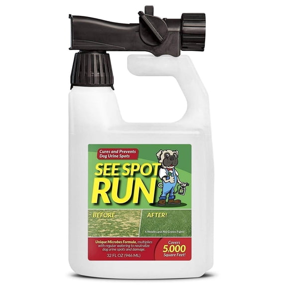 See Spot Run Lawn Protectant - Cures and Prevents Dog Urine Spots. Safe, Effective, Natural Lawn Care Product and Excellent Grass Saver for Pets to Aid your Lawn Fertilizer (32oz.hose end concentrate)