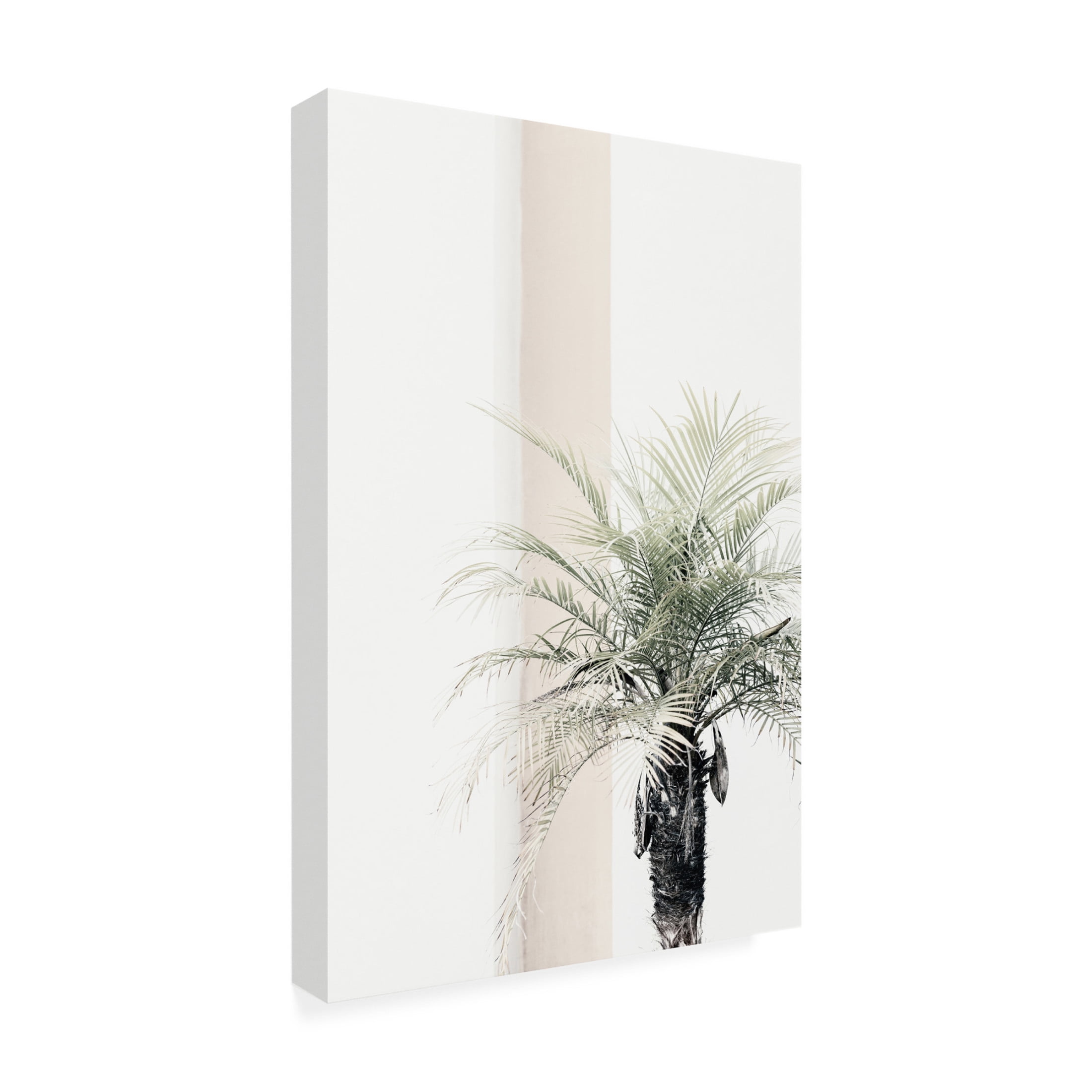 Trademark Fine Art Pictufy Studio Palm Tree Canvas Wall Art