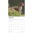 thumbnail image 3 of German Shorthaired Pointers 2025 12 X 24 Inch Monthly Square, 3 of 9