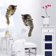 thumbnail image 2 of Pegatinas de pared de gatos 3D BRILLAR Juego de 6, 2 of 5