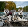 thumbnail image 5 of EcoBark Pet Supplies Step-In Rapid Fastener Comfort Adjustable Dog Harness, 5 of 7
