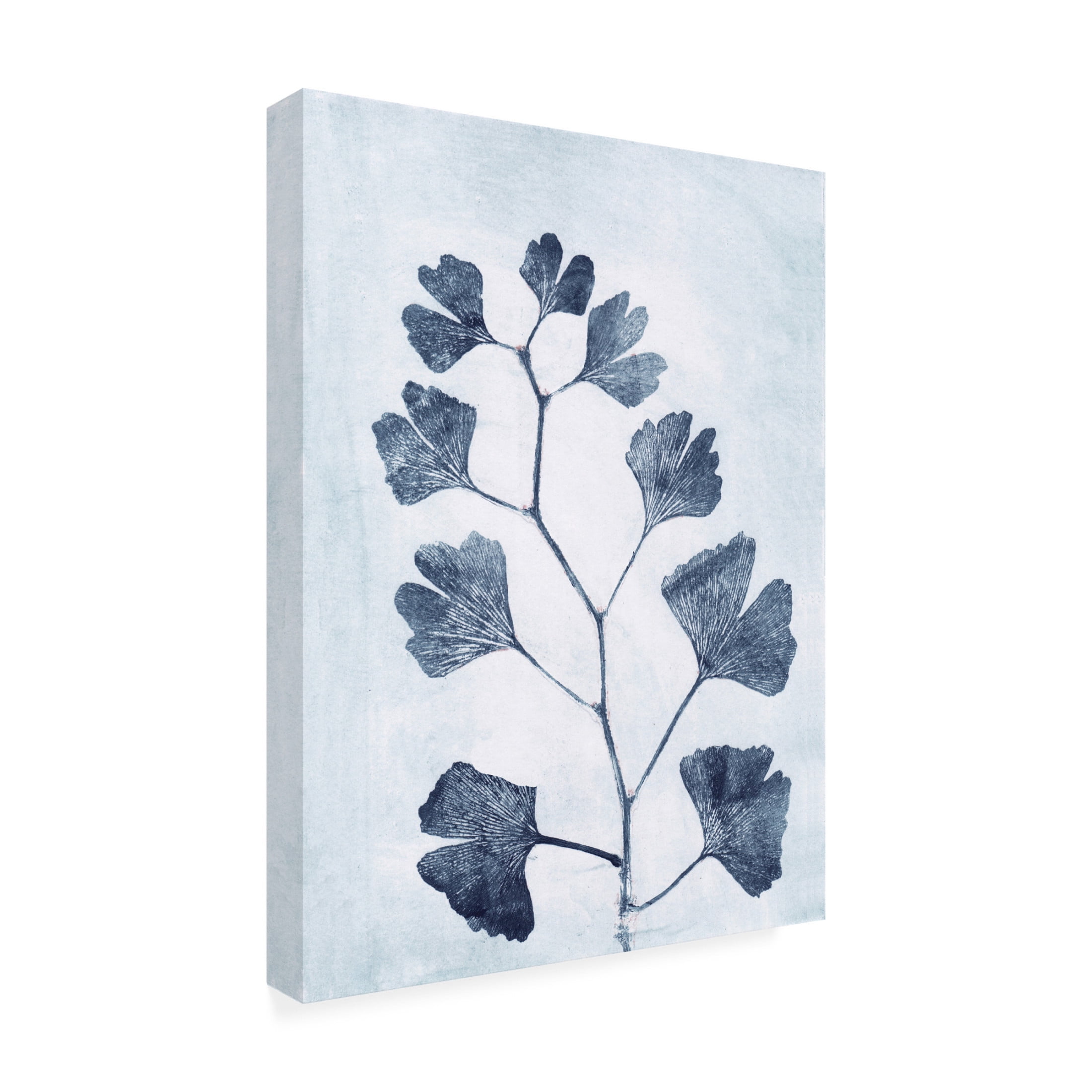 Canvas Wall Art - Pernille Folcarelli 'Ginko Branch' Wall Art for Living Room, Bedroom, or Office Décor by Trademark Fine Art - 24 x 32 Inches