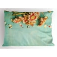 thumbnail image 1 of Shabby Chic Pillow Sham Bunch of Gerbera Flowers on a Turquoise Wooden Board Seasonal Nature Border, Decorative Standard King Size Printed Pillowcase, 36 X 20 Inches, Multicolor, by Ambesonne, 1 of 2