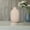 White, variant on Lacey Ceramic Vase with Minimalist Design