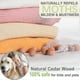 thumbnail image 2 of Cashmere sweater storage bag 22L moth proof acid free for wool, 2 of 5