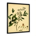 thumbnail image 2 of Designart 'Ancient Plant Life V' Traditional Framed Art Print, 2 of 4