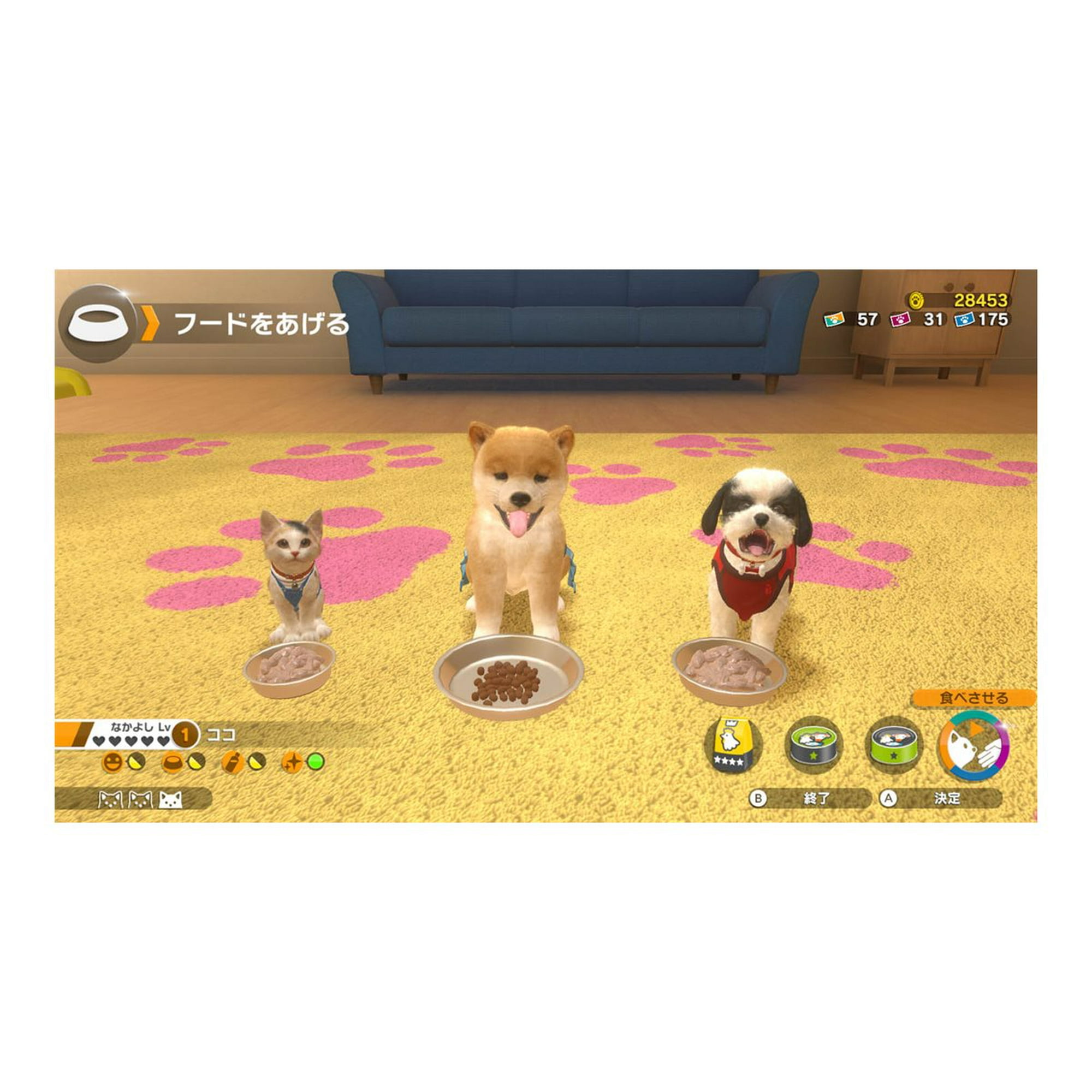 Nintendo Switch LITTLE FRIENDS Little Friends Puppy Island Nintendo Switch : Amazon.ca