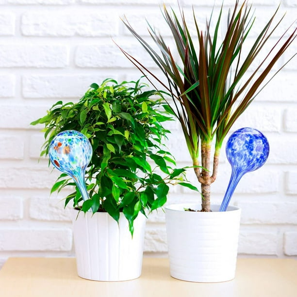 Globes d'arrosage Ampoules en verre pour plantes Globes d'eau