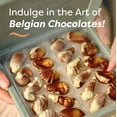thumbnail image 2 of Guylian Belgian Chocolate Sea Shells Perles d' Ocean, 8.82 Oz, 2 of 7