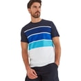 thumbnail image 4 of TOG24 Mens Whitwick Stripe T-Shirt, 4 of 4