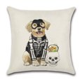 thumbnail image 4 of Housse de Coussin Citrouille d'Automne Housse de Coussin Décorative Halloween Action de Grâce, 18 x 18 Pouces, 2 Pcs Chat 2, 4 of 7
