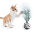 thumbnail image 3 of Cat Toy Interactive Artificial Feather Pet Ball Cat Fetch Ball Cat Teaser Toy, 3 of 5