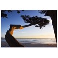 thumbnail image 1 of Great BIG Canvas | "Carmel Sunset 1" Art Print - 48x32, 1 of 4