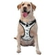 thumbnail image 1 of Fotbe Cute Shark Arnés para Perro con Estampado –Chaleco Ajustable Acolchado con Asa de Control para Perros Grandes-Large, 1 of 6