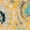 Multi-color, variant on SAFAVIEH Evoke Milica Bordered Area Rug, Gold/Ivory, 3' x 5'