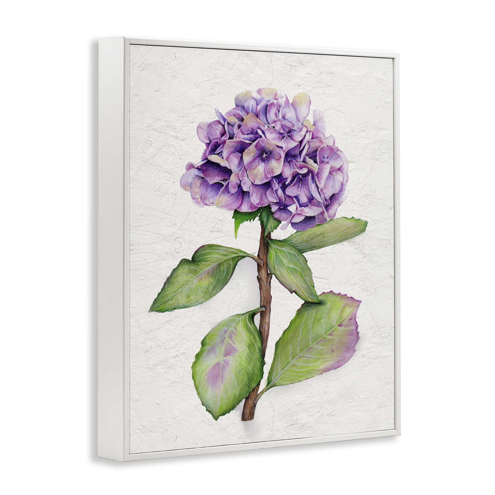 Stupell Industries European Style Hydrangea Botanical & Floral Painting White Framed Art Print Wall Art, 24 x 30
