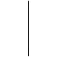 thumbnail image 2 of vidaXL Wall Mirror Black 50x100 cm Rectangle Iron, 2 of 5