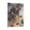 Frame-style, variant on Angus Young Canvas Poster Art Poster Canvas Painting Decor Wall Print Photo Gifts Home Modern Decorative Posters 12x18inch(30x45cm)