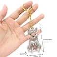 thumbnail image 3 of Cute Dog Shape Pet Hair Storage Keychain, Transparent Capsule Container for Cat Dog Fur Memorial, Unique Pet Keepsake Charm for Collars, Backpacks & Keys - 5.43 Inch, 3 of 8