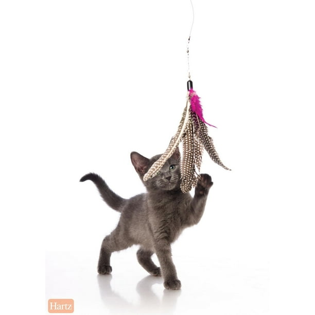 Hartz Just for Cats Kitty Caster Cat Toy - Walmart.ca