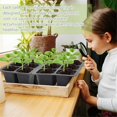 thumbnail image 3 of Seed Starting Tray, Seedling Starting Tray Plant Starting Kit,8Pcs, 3 of 5