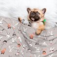 thumbnail image 3 of Naloa Various Rabbits Dog Blanket, 3 Sizes Cat Blanket for Indoor Cats Large Medium Small Dog Gifts-Medium, 3 of 8